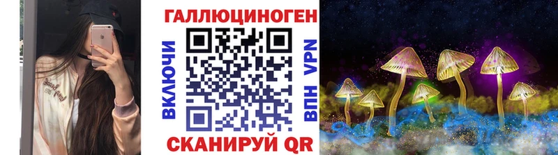 Купить закладки  Торжок  Псилоцибиновые грибы GOLDEN TEACHER 